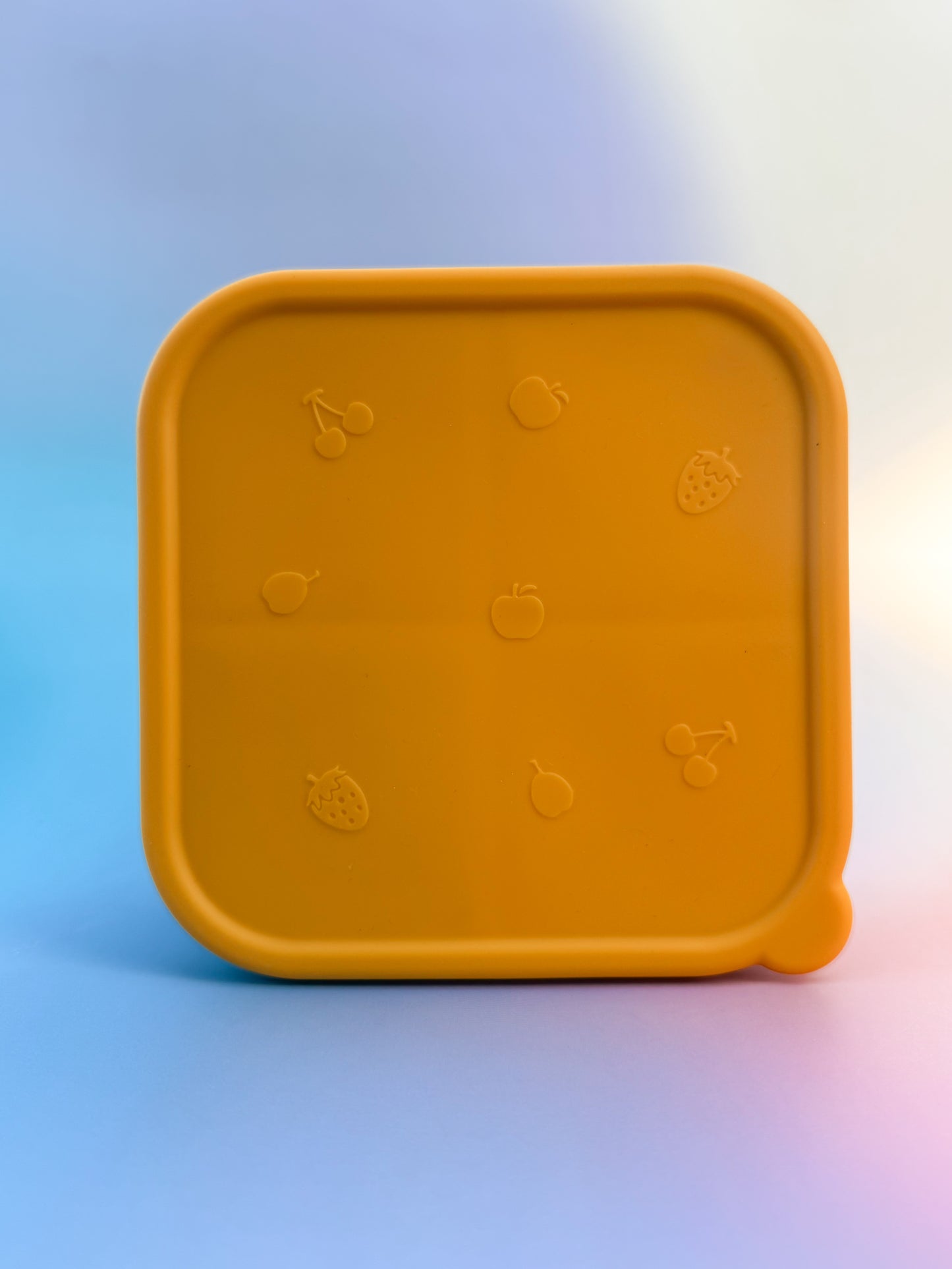 4-Compartment Bento Lunchbox