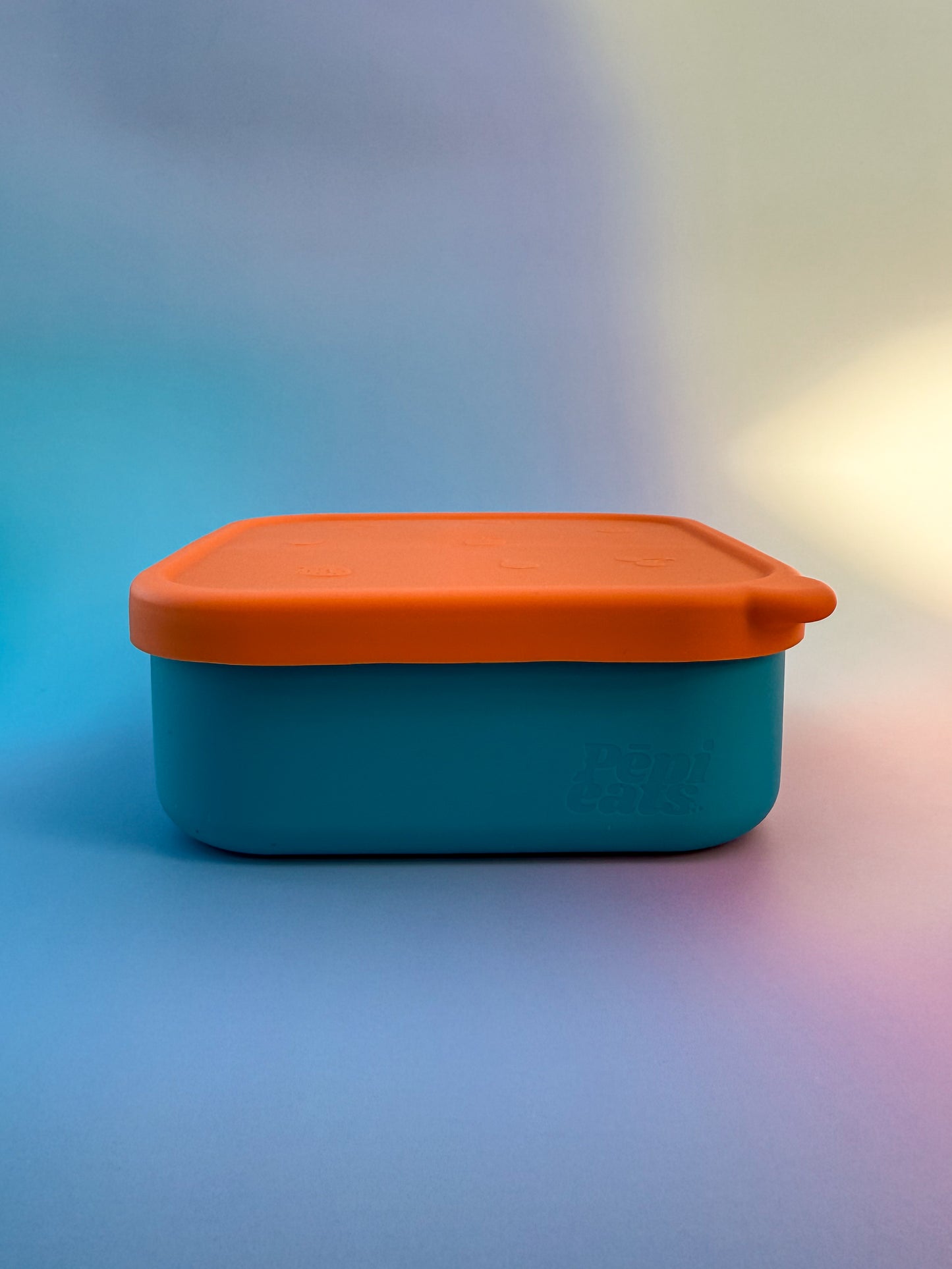 4-Compartment Bento Lunchbox